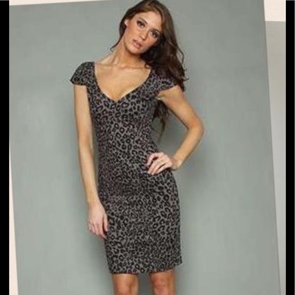 BB Dakota Dresses & Skirts - BB Dakota leopard print grey bodycon dress